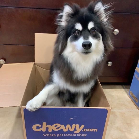 Meet your Posher, Andrea - Picture 6 of 9